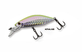 WISE HUMP MINNOW 55S